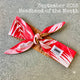 Headband Monthly Subscription